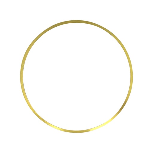 Cummins SHIM LINER 0.20 162029 5298564