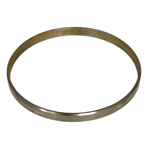 OEM Cummins ANTIPOLISHIN RING ISX 3689871CUM 3689871