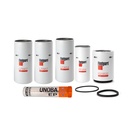 VOLVO OIL CHANGE KIT LF667, LF3654, FF254, FS19532 FREE GREASE