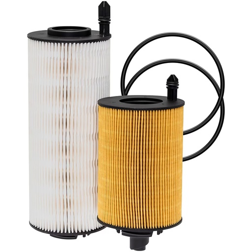 [EV-TN9X-2BMW] Fuel Filter Baldwin Filters PF46270 KIT  2272926PE